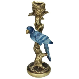 Kandelaar bird blue