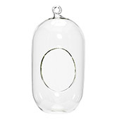 Plantenhanger glas