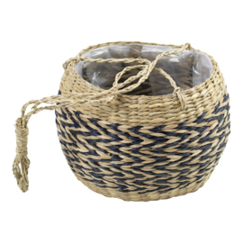 Hanging Basket