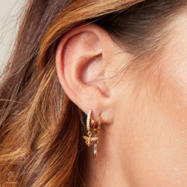 Earrings zirkonia bee