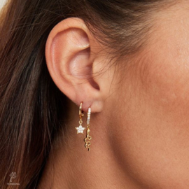 Earrings zirkonia star
