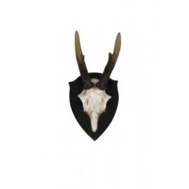 Wandornament