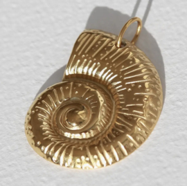 Charm schelp