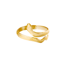 Ring serpent