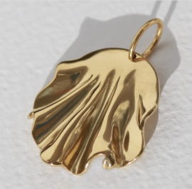 Charm koraal