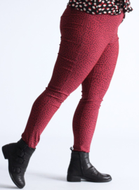 Broek Lang (D-7002-POLYVISPR) 004232-Small Pencil Polka Bordeaux