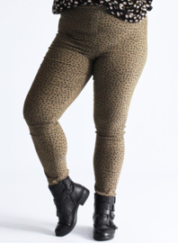 Broek Lang (D-7002-POLYVISPR) 004231-Small Pencil Polka Khaki