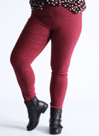 Broek Lang (D-7002-POLYVISPR) 004232-Small Pencil Polka Bordeaux