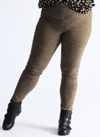 Broek Lang (D-7002-POLYVISPR) 004231-Small Pencil Polka Khaki