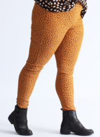 Broek Lang (D-7002-POLYVISPR) 004265-Small Pencil Polka Musterd