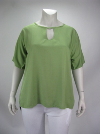 Shirt Holland (05-3676-groen)