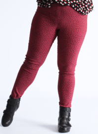 Broek Lang (D-7002-POLYVISPR) 004232-Small Pencil Polka Bordeaux