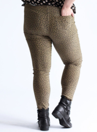 Broek Lang (D-7002-POLYVISPR) 004231-Small Pencil Polka Khaki