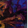 Long Sleeve A-Line Tunic (B-2401-MSH) U51059-Fall Leaves Purple
