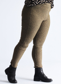 Broek Lang (D-7002-POLYVISPR) 004231-Small Pencil Polka Khaki