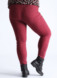 Broek Lang (D-7002-POLYVISPR) 004232-Small Pencil Polka Bordeaux