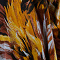 Tuniek Isabel (C-4051-HVP) W26065 Artistic Flower Mustard