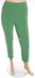 Legging Basic (F01) - 058-Brazil Groen