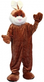 Promotie kostuum konijn