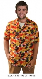 Hawaii shirt tropicana