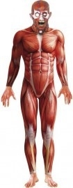 Anatomie kostuum