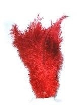Rode Veer floss - pieten veren