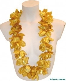 Gouden Hawai krans Gouden Hawai krans