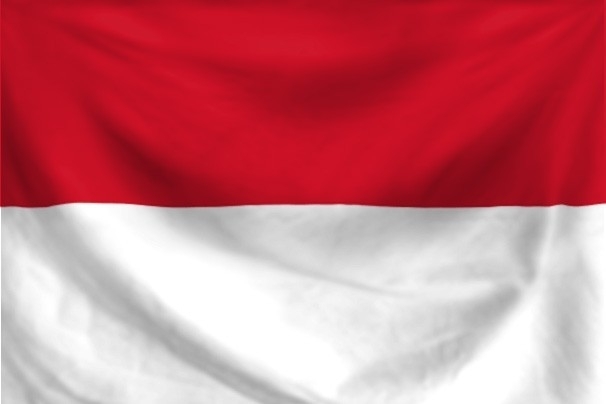 Vlag Indonesie 90x150cm