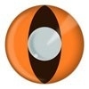Feest lenzen katten oog oranje Feest lenzen katten oog oranje
