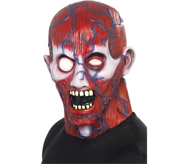 Masker Anatomy Masker Anatomy