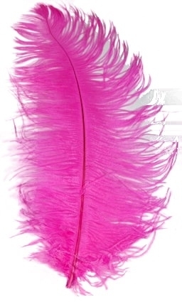 Spadonis veer 50cm pink