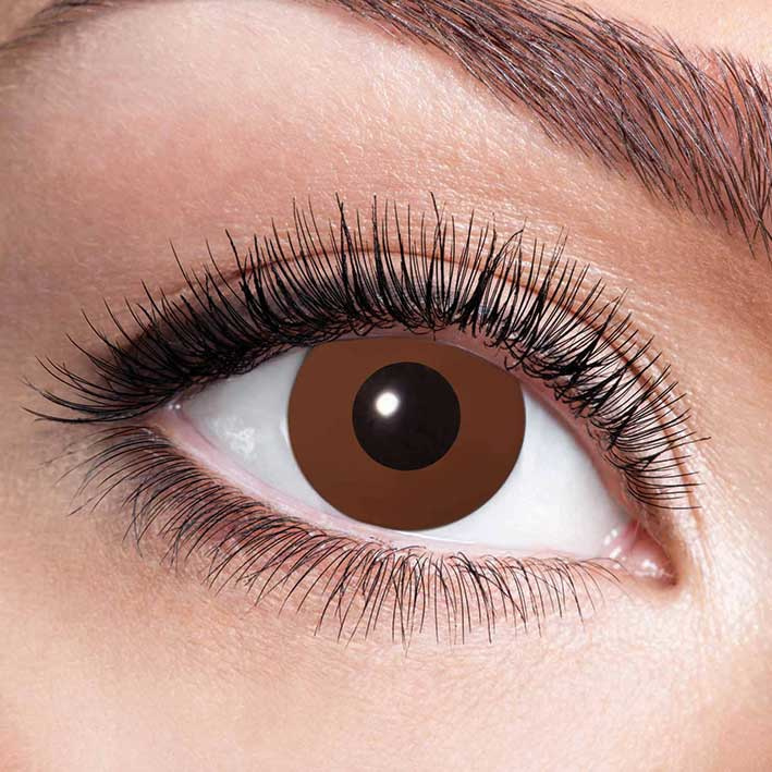 Party lenzen Brown Party lenzen Brown