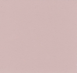 177 Rosa Flamant Wall Matt Matte Farbe Matte Wandfarbe Webshop Menu