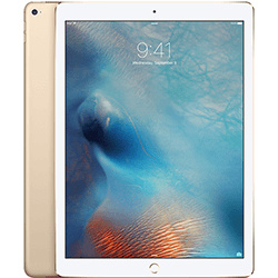 iPad Pro 12,9 inch Wi-Fi 32GB Gold - Excl. 751,00