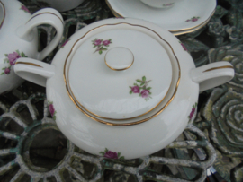 Koffieservies MZ met roze / rode roosjes 8 persoons
