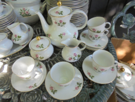 Theeservies Seltmann Weiden Bavaria Annabell met roze roosjes en gipskruid