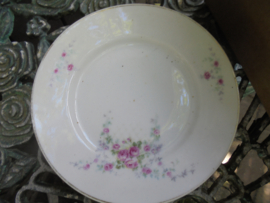 Gebaksbordje met zachte pastel bloemetjes / roze roosjes