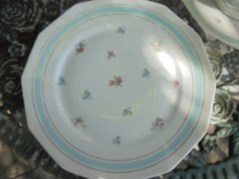 Dinerbord met lichtblauwe rand vol bloemetjes/roze roosjes
