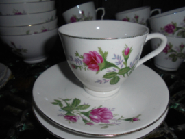 Koffie kop en schotel met wilde roze struik roos