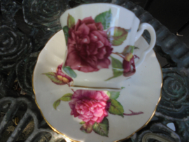 Engelse Kop en schotel Royal Windsor met grote diep roze pioen roos