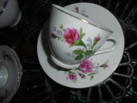 Koffie kop en schotel met wilde roze struik roos