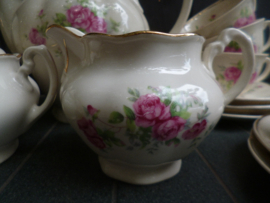 Koffie servies Chodziez met roze roosjes