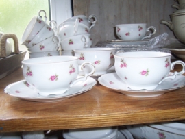 Koffieservies Bavaria Mitterteich barok met roze/rode roosjes