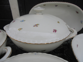 Dinerservies Winterling Marktleuthen Rosemary vol strooibloemetjes met oa. roze roosjes  VARIANT 2