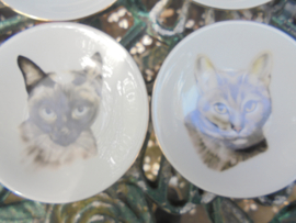 4 Petit fourbordjes met verschillende Katten afbeeldingen