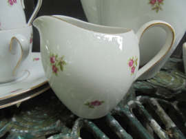 Mitterteich Rosette Koffieservies met roze roosjes 8 persoons