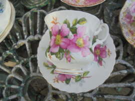 Royal Albert Dames Kop en schotel Prairie Rose met roze bloemen