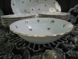 Diner servies H & C met roze/rode roosjes en bewerkt randje 6 persoons