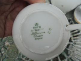 Koffiepot Seltmann Weiden NORA met tere mini roze roosjes