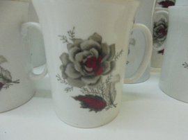 Modern MOSA Koffieservies met grijs/rode rozen